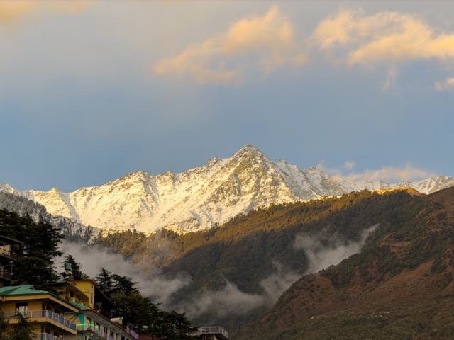 Mcleodganj Triund 2N/3D Package